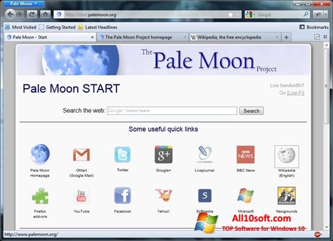 لقطة شاشة Pale Moon لنظام التشغيل Windows 10