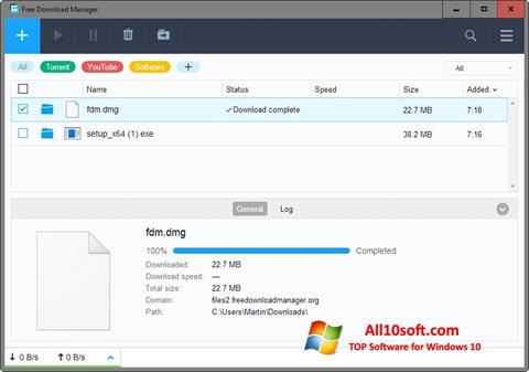 لقطة شاشة Free Download Manager لنظام التشغيل Windows 10