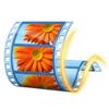 Windows Live Movie Maker لنظام التشغيل Windows 10